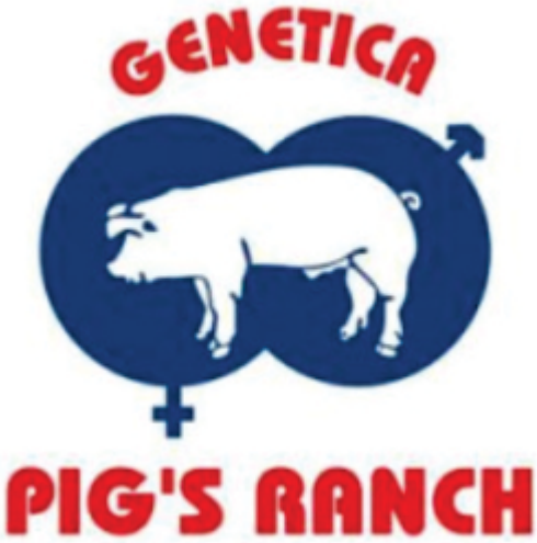 Genética Pig's Ranch