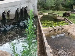 Comparación entre el lago antes del saneamiento y el humedal de terminación después